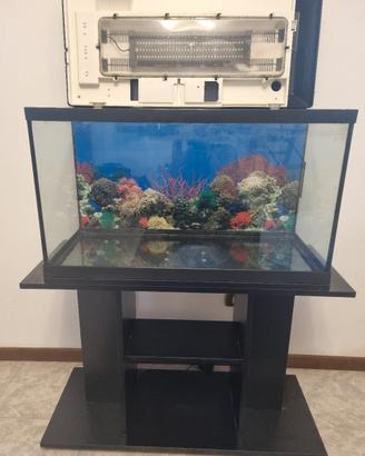 Acquario Askoll 130 litri