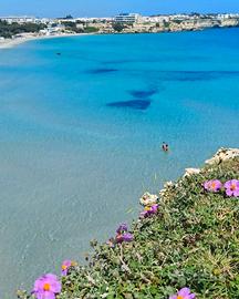 Torredellorso vacanze allende 2026