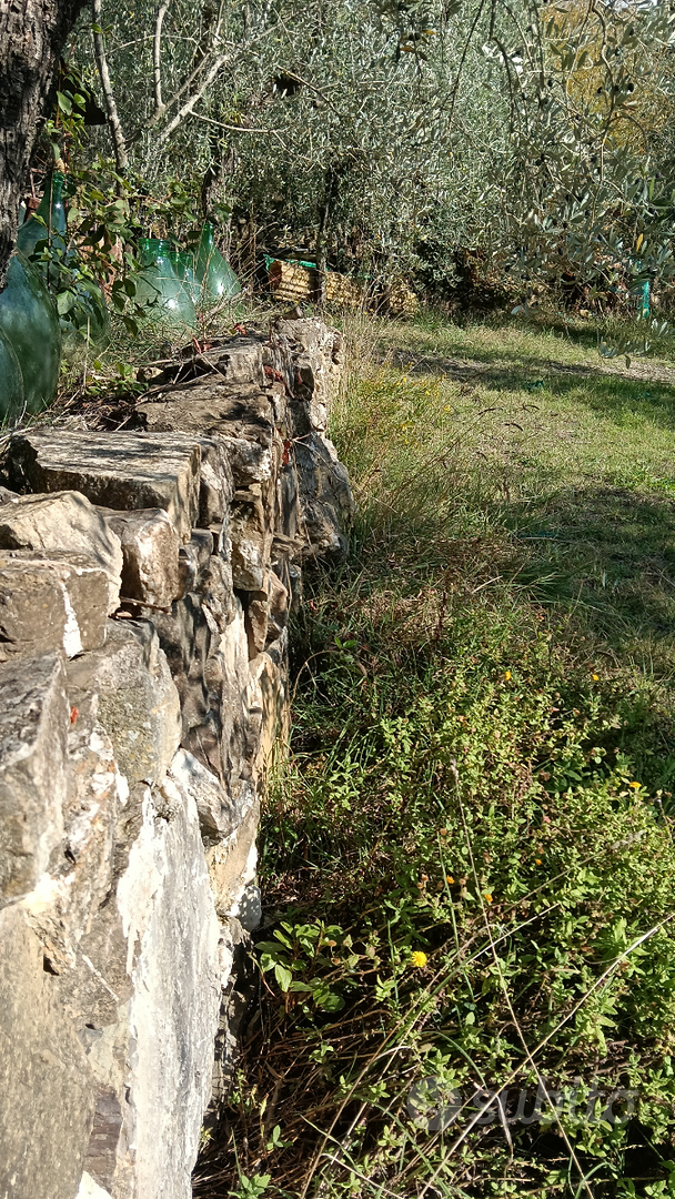 Terreno agricolo acqua e luce - Vista 6