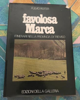 Favolos Marca di Fulvio Roiter