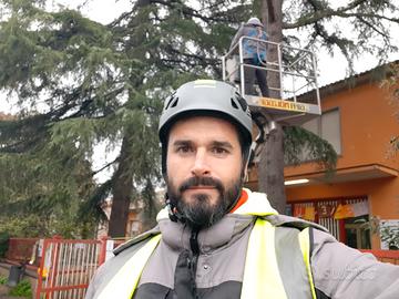 Dottore Forestale, perizie e trattamenti