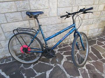 Biciclette varie