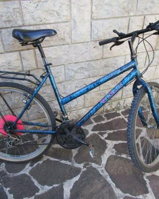 Biciclette varie