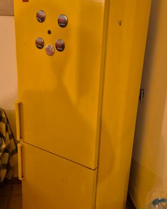 frigo