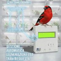 Centralina alba-tramonto per Led