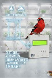 Centralina alba-tramonto per Led