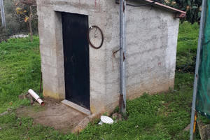 Oliveto con casetta, pozzo e corrente