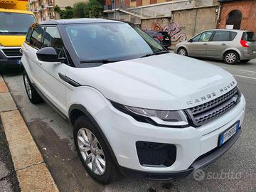 LAND ROVER Range Rover Evoque 2.0 eD4 5p. Busine