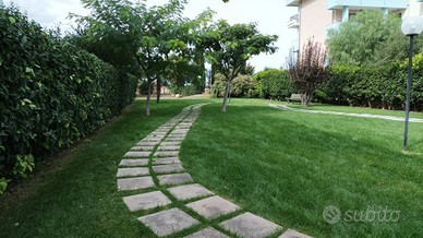 Lavori di giardinaggio