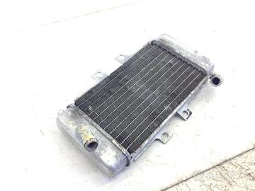 PIAGGIO NRG EXTREME 50 RADIATORE ACQUA LIQUIDO RAF