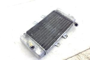 PIAGGIO NRG EXTREME 50 RADIATORE ACQUA LIQUIDO RAF