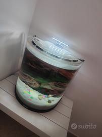 acquario completo