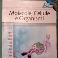Biologia MOLECOLE, CELLULE e ORGANISMI