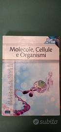 Biologia MOLECOLE, CELLULE e ORGANISMI