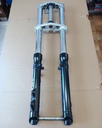 Forcelle Complete Yamaha XT660X