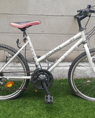 Mountain Bike raggio 24