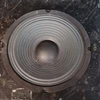 Altoparlante diametro 21cm