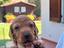 Immagine 4