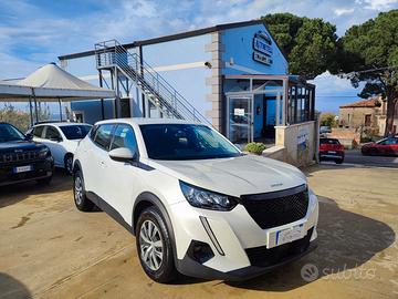 Peugeot 2008 1.5 BlueHDi 100 cv S&S Active