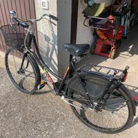 Bici Holland in ordine