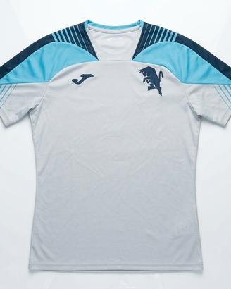 Torino FC maglia del mister autografata