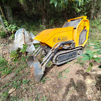 Motocarriola Skid Loader Dumper Alca Europe TC1000
