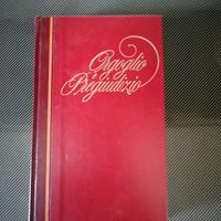 Orgoglio e pregiudizio 