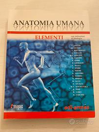 "Elementi anatomia umana" edi-ermes