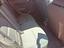 Immagine 10