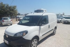 Fiat Doblo furgone frigo coibentato