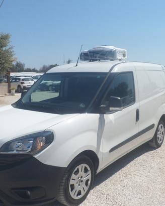 Fiat Doblo furgone frigo coibentato