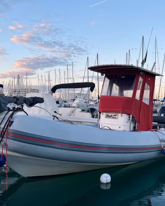 BWA 25 Sport + Suzuki DF 225