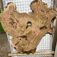 Disco di legno di pioppo - levigato