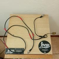 Prolunga sonda due temperature mychron5s 2t