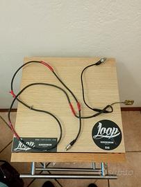 Prolunga sonda due temperature mychron5s 2t