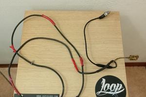 Prolunga sonda due temperature mychron5s 2t