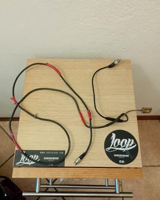 Prolunga sonda due temperature mychron5s 2t