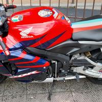 Honda cbr 600 rr fireblade colori hrc