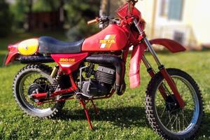 Beta 250 Gs