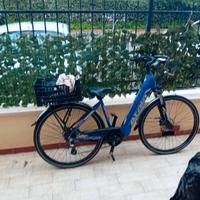 bicicletta a pedalata facilitata