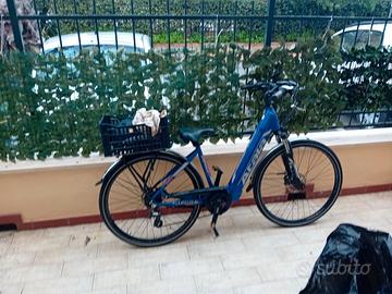 bicicletta a pedalata facilitata