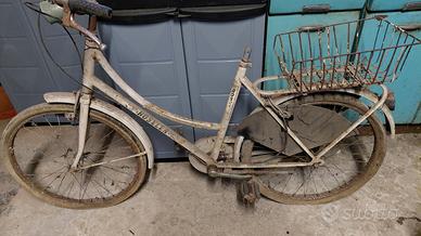 scheletro bici da donna
