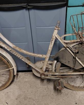 scheletro bici da donna