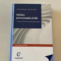 Manuale universitario Procedura Civile 1