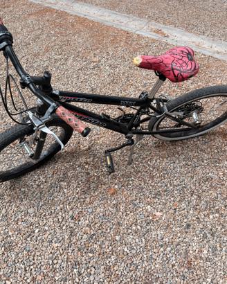 Bicicletta