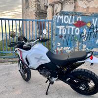 Ducati Desert X 11/2022