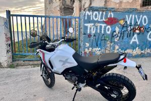 Ducati Desert X 11/2022