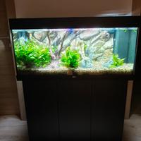 Acquario 180L