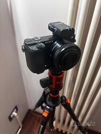 Fotocamera Sony a6000 + Moza mini p