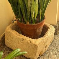Mangiatoie per giardino
